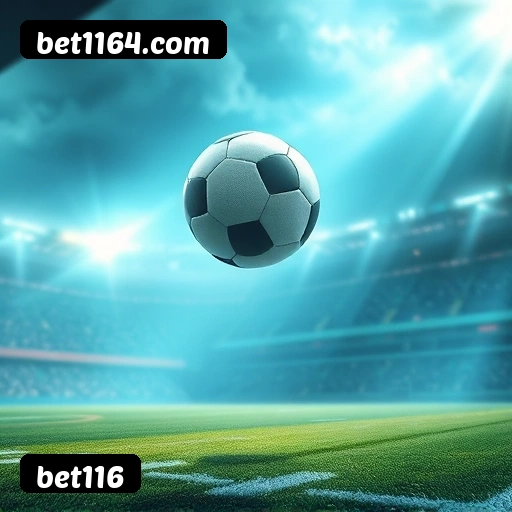 Requisitos do APK da bet116 para Android
